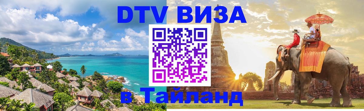 Оформление DTV визы под ключ: стоимость и тарифы, только загранпаспорт - 20.11.2025 